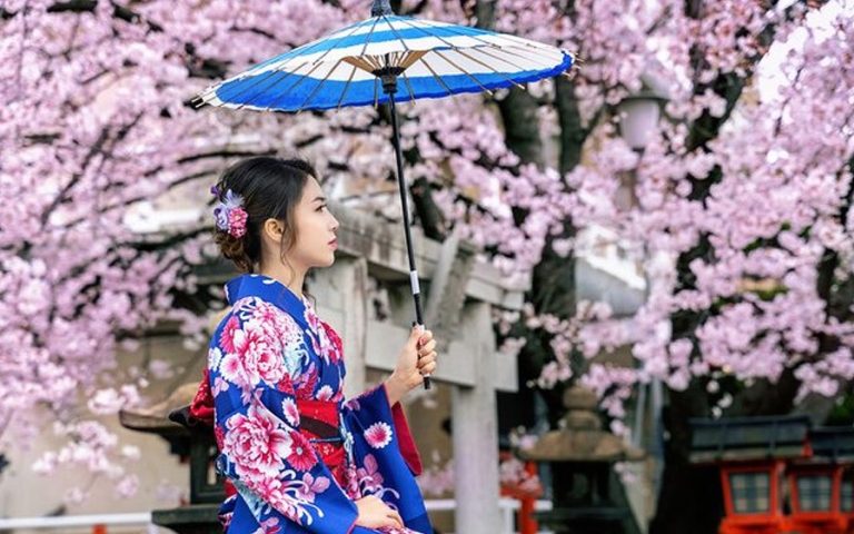 festival-terpopuler-di-jepang-hanami