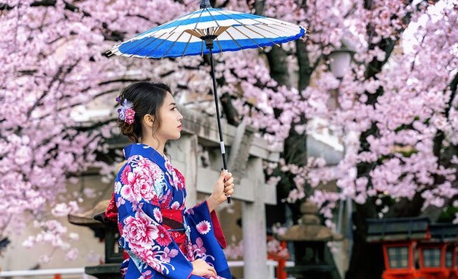 festival-terpopuler-di-jepang-hanami