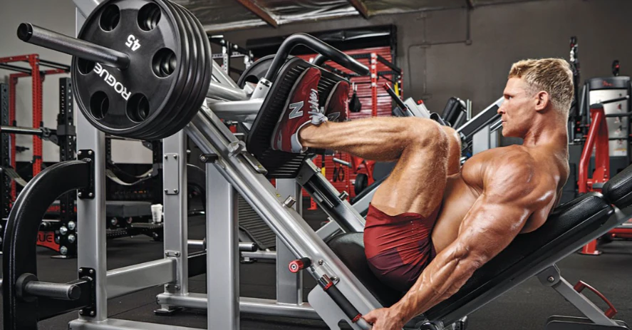 Ilmu di Balik Leg Press Machine: Bagaimana Ia Membangun Otot
